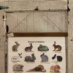 Breeds of Rabbits Hanging Wall Banner