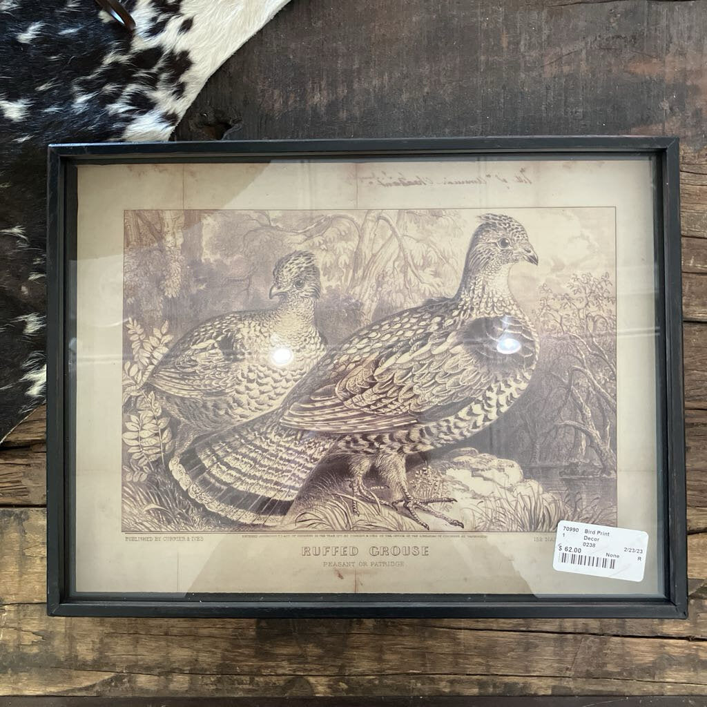 Ruffed Grouse Bird Print Shadow Box