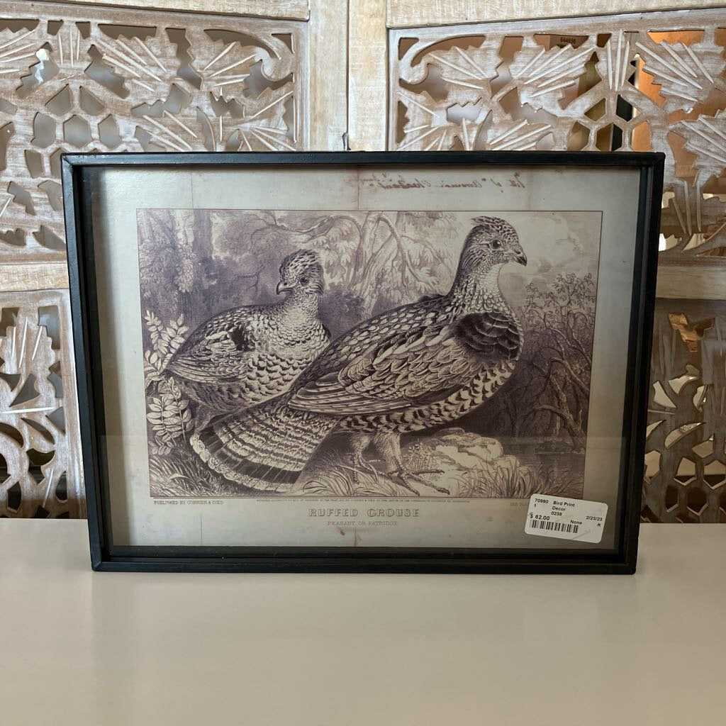 Ruffed Grouse Bird Print Shadow Box