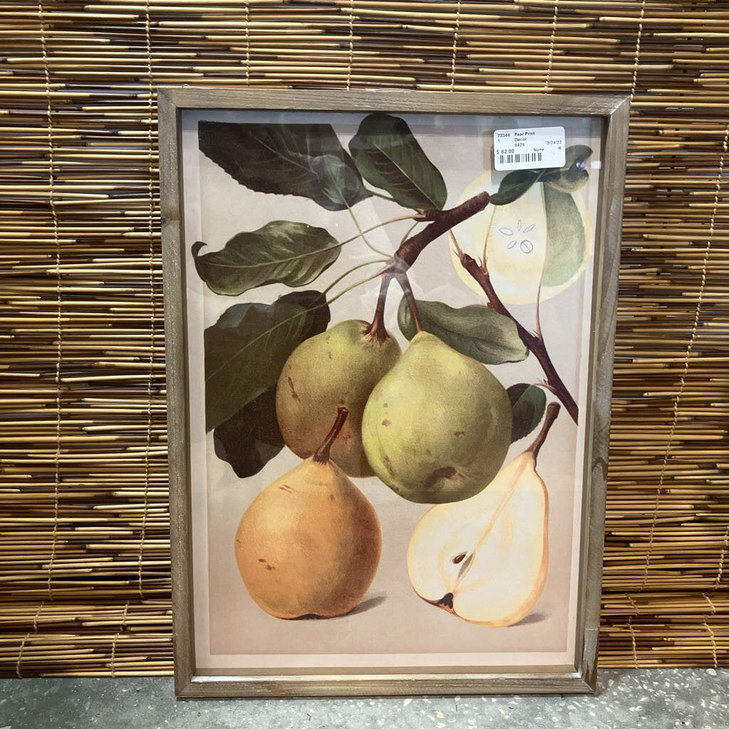 Pear Botany Print