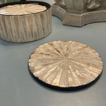 Set Of 6 Seashell Coasters