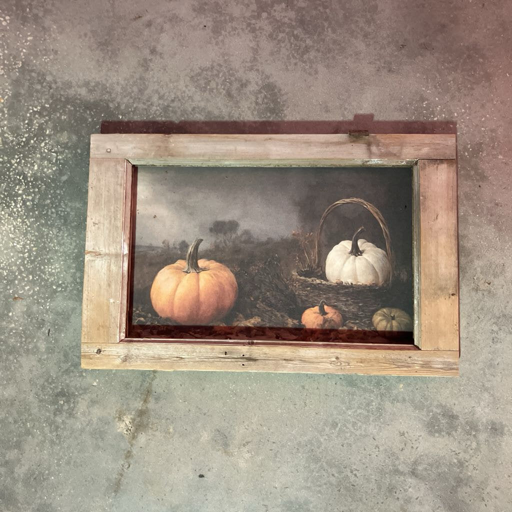 Pumpkin Harvest Reclaimed Frame from Holland