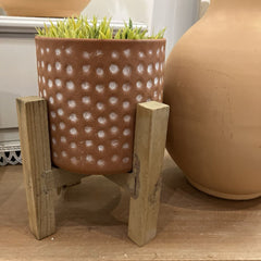 Terra Cotta Pot with Stand